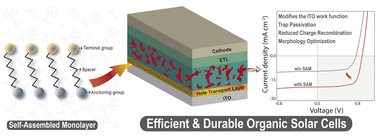 Graphical abstract: Advances in self-assembled monolayer-engineered organic solar cells