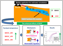 Graphical abstract: Insights into the mechanisms of biochar-derived dissolved organic carbon-facilitated transport of oxytetracycline in saturated porous media