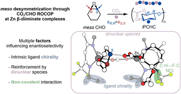 Graphical abstract: Disclosing multiple factors influencing enantioselective copolymerization of CO2 with meso-epoxides using β-diiminate Zn catalysts