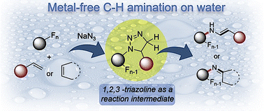 Graphical abstract: “On water” metal-free direct C–H amination and imination of olefins via tandem SNAr, click chemistry, and molecular nitrogen release