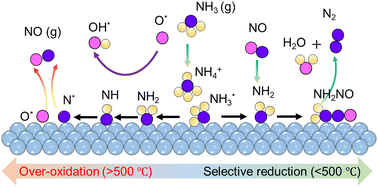 Graphical abstract: Dual kinetic effect from confined iron nanoparticles in zeolite modulates high-temperature catalytic NO reduction and NH3 oxidation