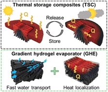 Graphical abstract: A heterogeneous nanocomposite architecture with contrasting thermal conductivity and hydrophilicity for synergistic solar-thermal storage and evaporation