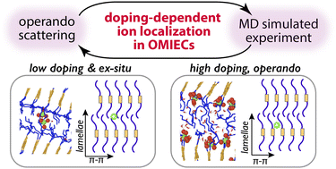 Graphical abstract: Charge state-dependent ion condensation near conjugated polymer backbones