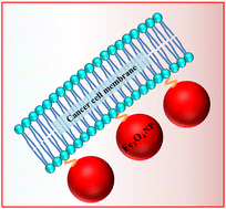 Graphical abstract: Cancer cell membrane-camouflaged nanobot assemblies augment cancer chemotherapy