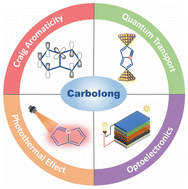 Graphical abstract: Carbolong complexes: an emerging class of metallaaromatics for next-generation functional materials