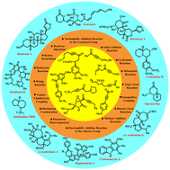 Graphical abstract: Total synthesis of natural products via conjugated ynone intermediates: a new millennium update