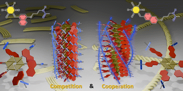 Graphical abstract: Competition and cooperation between steric hindrance and hydrogen bonding of supramolecular discs