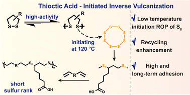 Graphical abstract: Long-term humid adhesion of sulfur thermoplastic polymers enabled by thioctic acid-initiated polymerization