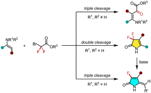 Graphical abstract: Photoinduced diversity-oriented synthesis of α-ketoester β-enamino esters, 3,3-difluoro-4-pyrrolin-2-ones, and 3-fluoro-3-pyrrolin-2-ones from bromodifluoroacetates and β-enamino esters