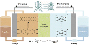 Graphical abstract: A low-redox-potential phenazine-based negolyte with high stability for aqueous organic flow batteries