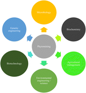 Graphical abstract: Incorporating hyperaccumulating plants in phytomining, remediation and resource recovery: recent trends in the African region – a review