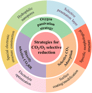 Graphical abstract: Perspective on electrochemical CO2 reduction in CO2/O2 mixed gas