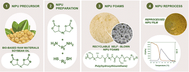 Graphical abstract: Design of fully reprocessable composite non-isocyanate polyurethane (NIPU) foams from sustainable blends of cyclic carbonates