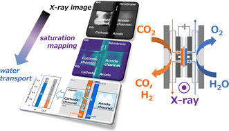 Graphical abstract: Operando analysis of water transport in zero-gap CO2 electrolysis cells