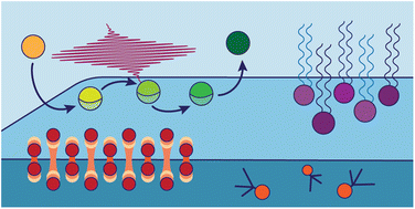 Graphical abstract: Spiers Memorial Lecture: Vibrations at interfaces