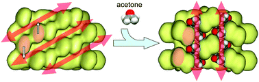 Graphical abstract: Switch of channel geometry by 1D component slide responding to slight structural stimuli of adsorbed guest