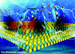 Graphical abstract: New opportunities for efficient N2 fixation by nanosheet photocatalysts