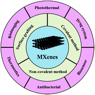 Graphical abstract: Recent development and prospects of surface modification and biomedical applications of MXenes