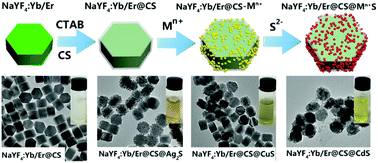 Graphical abstract: Decoration of upconversion nanocrystals with metal sulfide quantum dots by a universal in situ controlled growth strategy