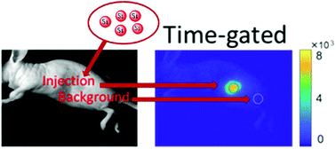 Graphical abstract: Water-soluble silicon nanocrystals as NIR luminescent probes for time-gated biomedical imaging