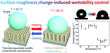 Graphical abstract: Thermo-responsive wettability via surface roughness change on polymer-coated titanate nanorod brushes toward fast and multi-directional droplet transport
