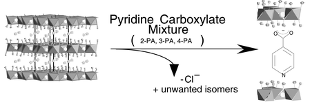 Graphical abstract: Preferential anion exchange intercalation of pyridinecarboxylate and toluate isomers in the layered double hydroxide [LiAl2(OH)6]Cl·H2O