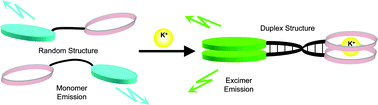 Graphical abstract: A general and versatile molecular design for host molecules working in water: a duplex-based potassium sensor consisting of three functional regions