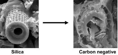 Graphical abstract: A novel porous carbon based on diatomaceous earth