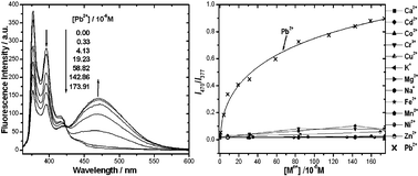 Graphical abstract: A tryptophan-containing fluoroionophore sensor with high sensitivity to and selectivity for lead ion in water