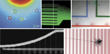 Graphical abstract: Biomolecular gradients in cell culture systems