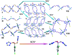 Graphical abstract: Thiocyanate-induced conformational transformation of a flexible fluconazole ligand in Cd(II) coordination polymers