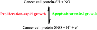 Graphical abstract: Electrochemistry and nitric oxide mass transport in cancer: why ingestion of sodium nitrite could be effective in treating vascularized tumors