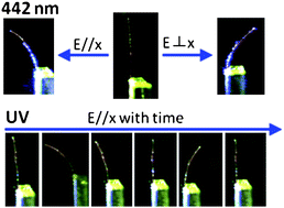 Graphical abstract: Photomechanical mechanism and structure-property considerations in the generation of photomechanical work in glassy, azobenzene liquid crystal polymer networks
