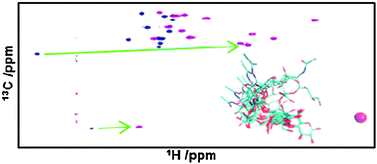 Graphical abstract: Lanthanide-assisted NMR evaluation of a dynamic ensemble of oligosaccharide conformations