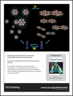 Graphical abstract: Back cover