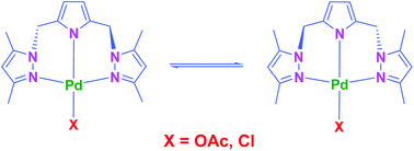 Graphical abstract: Mononuclear, helical binuclear palladium and lithium complexes bearing a new pyrrole-based NNN-pincer ligand: fluxional property