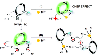 Graphical abstract: Rapid and highly sensitive detection of mercury ions using a fluorescence-based paper test strip with an N-alkylaminopyrazole ligand as a receptor