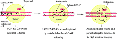 Graphical abstract: High-sensitivity in vivo imaging for tumors using a spectral up-conversion nanoparticle NaYF4: Yb3+, Er3+ in cooperation with a microtubulin inhibitor