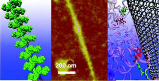Graphical abstract: Modelling of the nanoscale