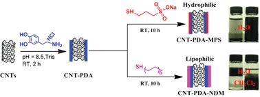 Graphical abstract: Combining mussel-inspired chemistry and the Michael addition reaction to disperse carbon nanotubes