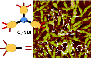 Graphical abstract: Synthesis and self-assembly of a C3-symmetric benzene-1,3,5-tricarboxamide (BTA) anchored naphthalene diimide disc