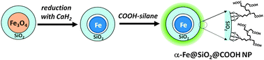 Graphical abstract: Carboxylated SiO2-coated α-Fe nanoparticles: towards a versatile platform for biomedical applications
