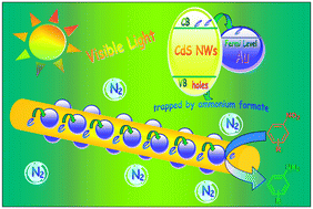 Graphical abstract: Efficient electrostatic self-assembly of one-dimensional CdS–Au nanocomposites with enhanced photoactivity, not the surface plasmon resonance effect
