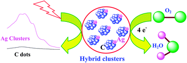 Graphical abstract: Green synthesis of silver nanoclusters supported on carbon nanodots: enhanced photoluminescence and high catalytic activity for oxygen reduction reaction