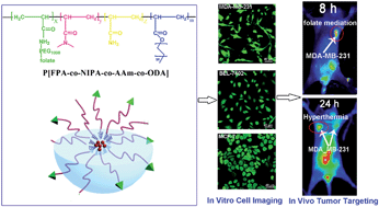 Graphical abstract: Thermal responsive micelles for dual tumor-targeting imaging and therapy