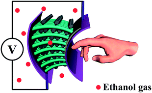 Graphical abstract: Room-temperature self-powered ethanol sensing of a Pd/ZnO nanoarray nanogenerator driven by human finger movement