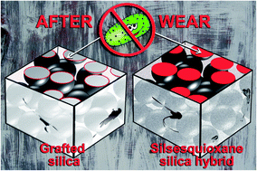 Graphical abstract: Synthesis of antimicrobial silsesquioxane–silica hybrids by hydrolytic co-condensation of alkoxysilanes