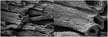 Graphical abstract: DNA: a novel, green, natural flame retardant and suppressant for cotton