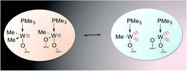 Graphical abstract: Direct observation of supported W bis-methylidene from supported W-methyl/methylidyne species