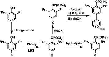 Graphical abstract: Synthetic strategies to achieve further-functionalised monoaryl phosphate primary building units: crystal structures and solid-state aggregation behavior